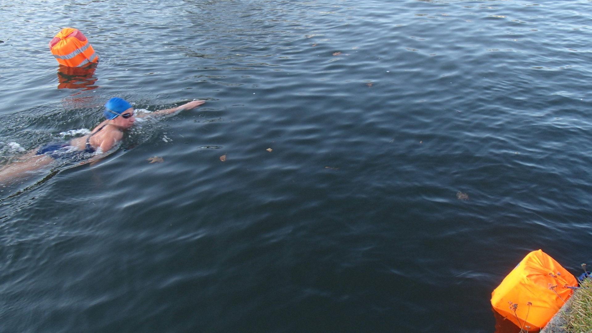 Otužilecké Labe 2019 - plavkyně v cíli tratě 500 metrů.